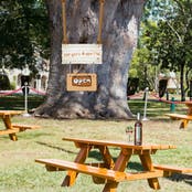 a close up of a picnic table