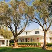 a tree in front of a house